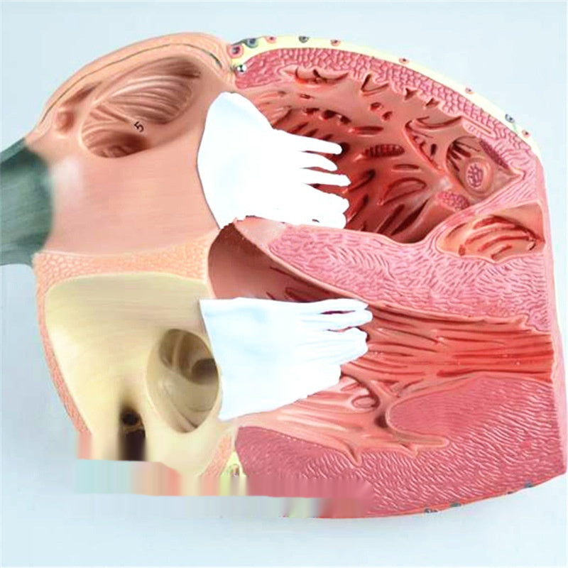 678e5fb54c8f991980a182da8ea092c0