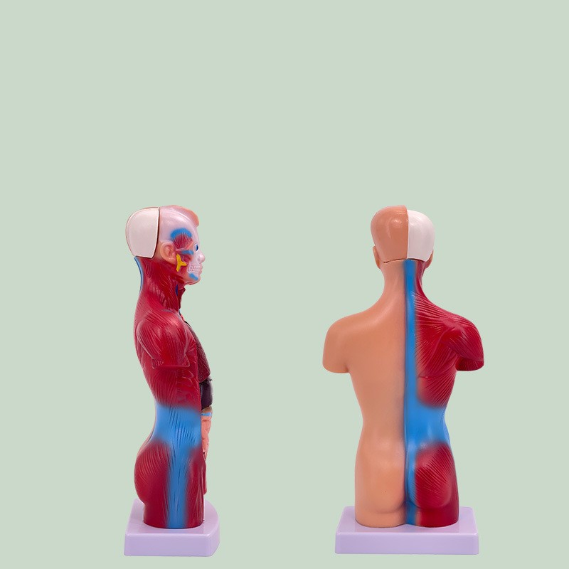 821b37e20c9f02d48b29360b003a017e