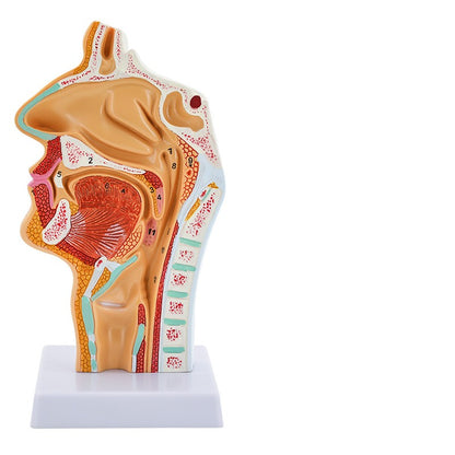 6d68061d68cec1d3c561bae5db2082e7